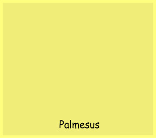 Palmesus